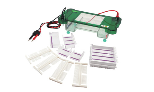 Glosario técnico y terminología clave del equipo YR03417 de electroforesis horizontal