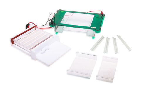 Errores frecuentes y troubleshooting del electroforesis horizontal YR03420