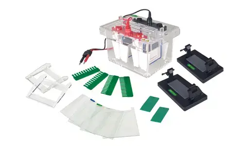Guía técnica sobre consumibles y repuestos compatibles con la celda de electroforesis vertical de miniproteína YR03426