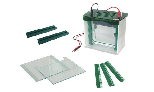 Errores Frecuentes y Soluciones para la Celda de Electroforesis YR03429