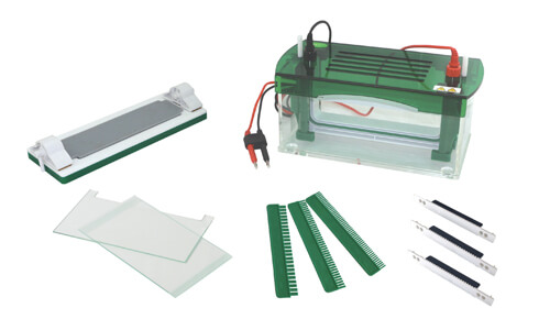 Consumibles y accesorios compatibles para la electroforesis vertical rápida SSR YR03430