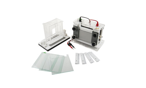 Consumibles y accesorios compatibles con el mini electroforesis YR402