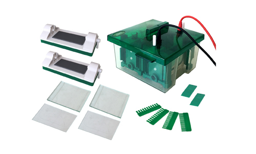 Equipos de Electroforesis para Separación de ADN y Proteínas con Alta Resolución