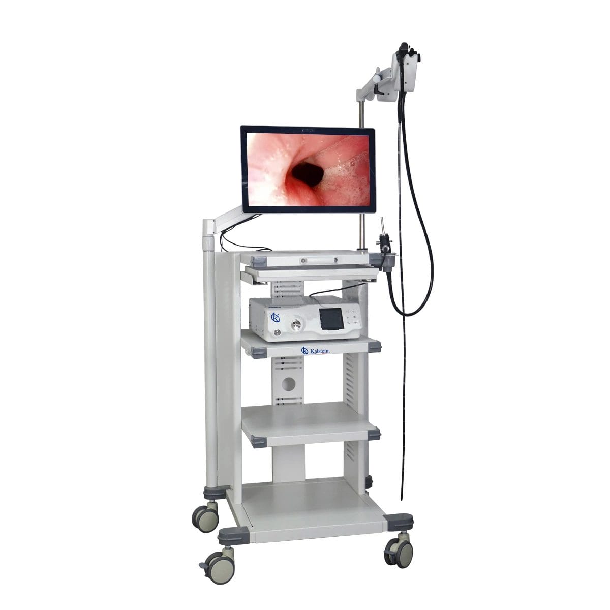 Endoscopio de Vídeo Veterinario: Visualización Interna de Alta Definición para Diagnósticos