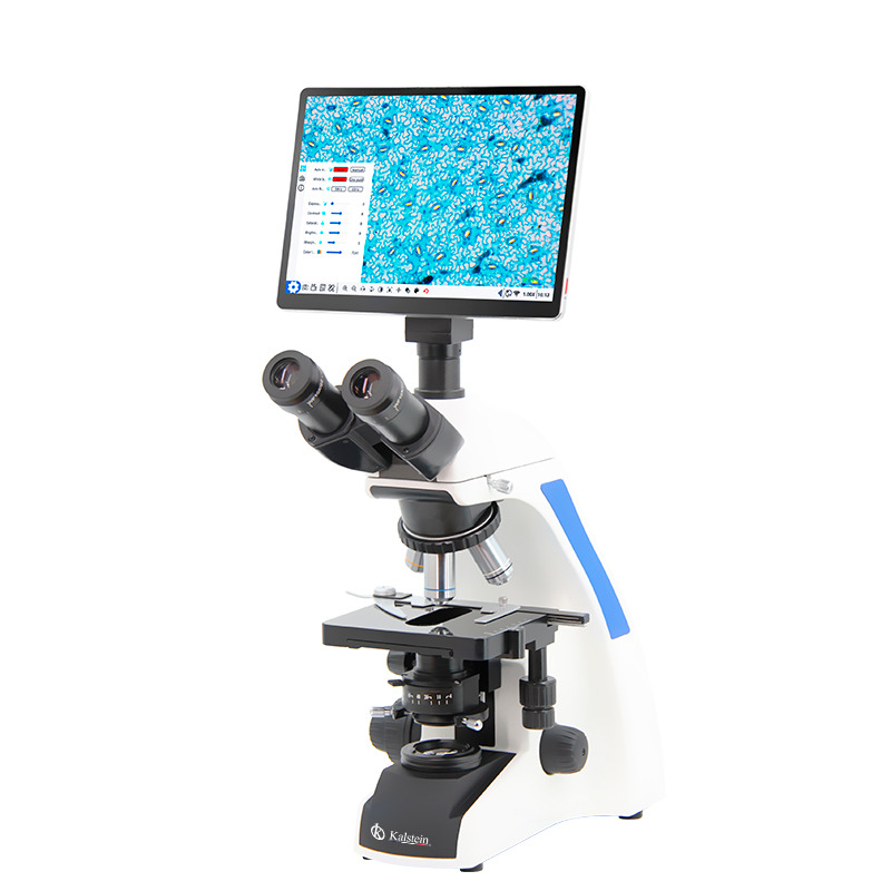 Entendiendo lo Invisible: Un Caso de Estudio Sobre Cómo los Microscopios Elevaron el Nivel de una Empresa de Productos Médicos de Calidad