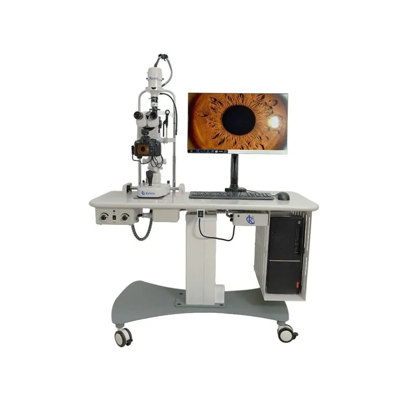 Lámparas Veterinarias: Iluminación Óptima para Procedimientos Clínicos y Quirúrgicos